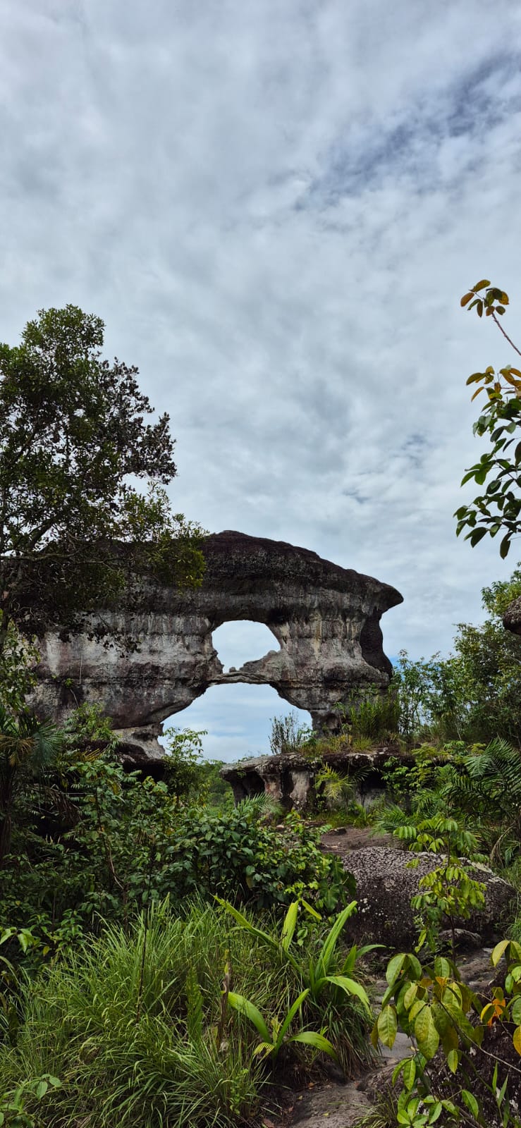 COLOMBIAN AMAZON & ORINOQUIA